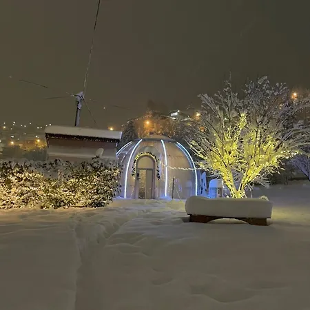 Cupola Glamping Dome