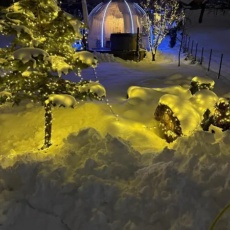 Cupola Glamping Dome *
