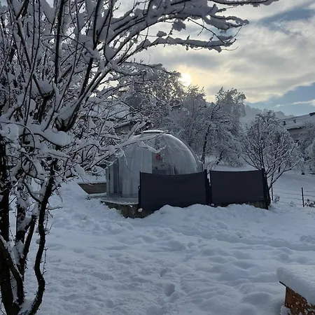 Cupola Glamping Dome
