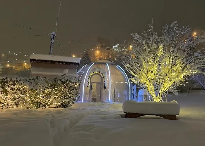 Cupola Glamping Dome