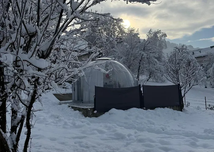 Cupola Glamping Dome